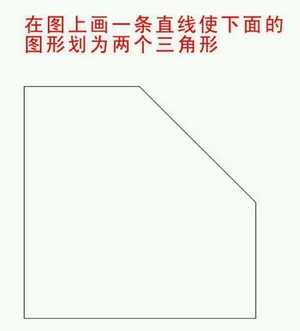 逻辑推理题:小学奥数题在图上画一条直线成两个三角形
