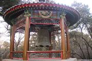 吃鱼子会变笨吗-十万个为什么